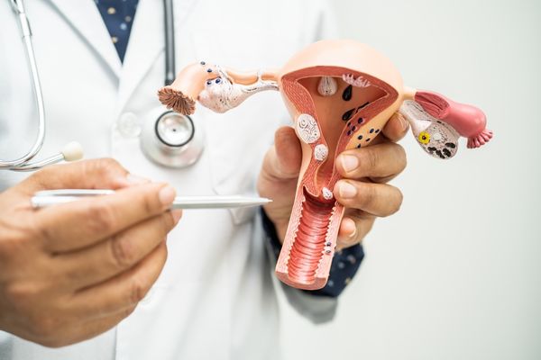 Bệnh phụ khoa là những bệnh liên quan đến âm đạo, tử cung, buồng trứng,...