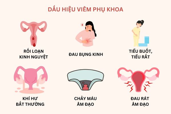 Rối loạn kinh nguyệt, đau bụng kinh, chảy máu,... là dấu hiệu của bệnh phụ khoa