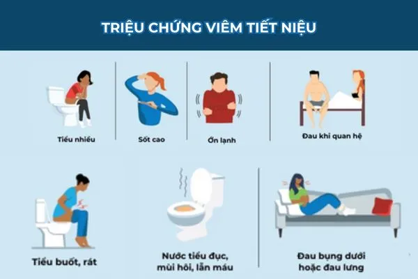 Tiểu buốt, tiểu nhiều, đau bụng dưới,... là biểu hiện của viêm tiết niệu