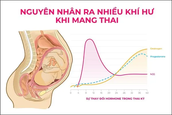 Sự thay đổi bên trong cơ thể khi mang thai dẫn đến việc tiết nhiều dịch âm đạo
