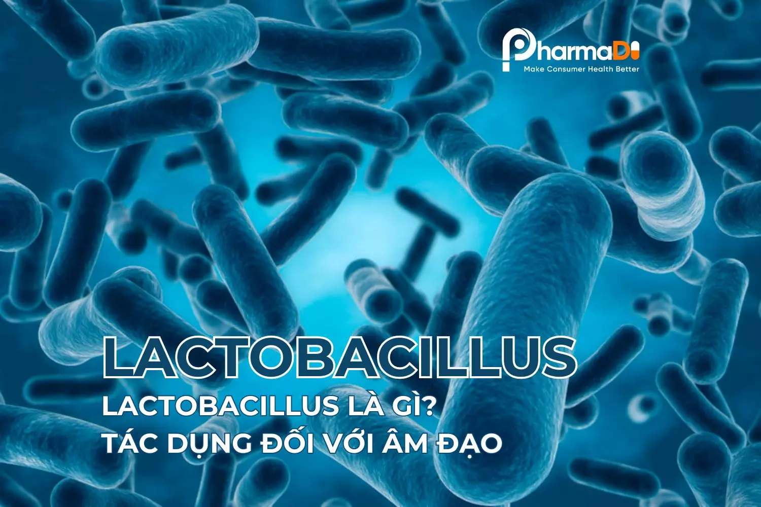 Lactobacillus