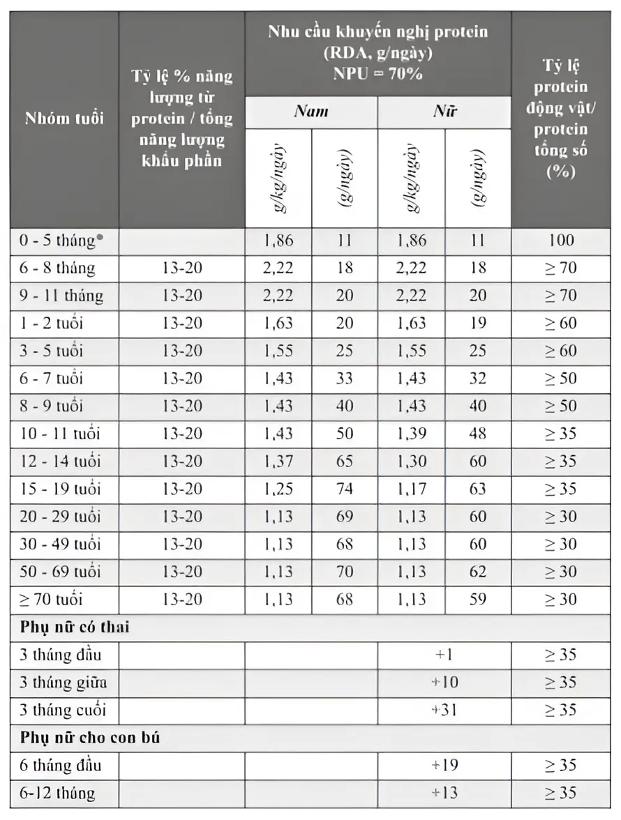 Bảng 1: Nhu cầu đạm khuyến nghị theo từng độ tuổi