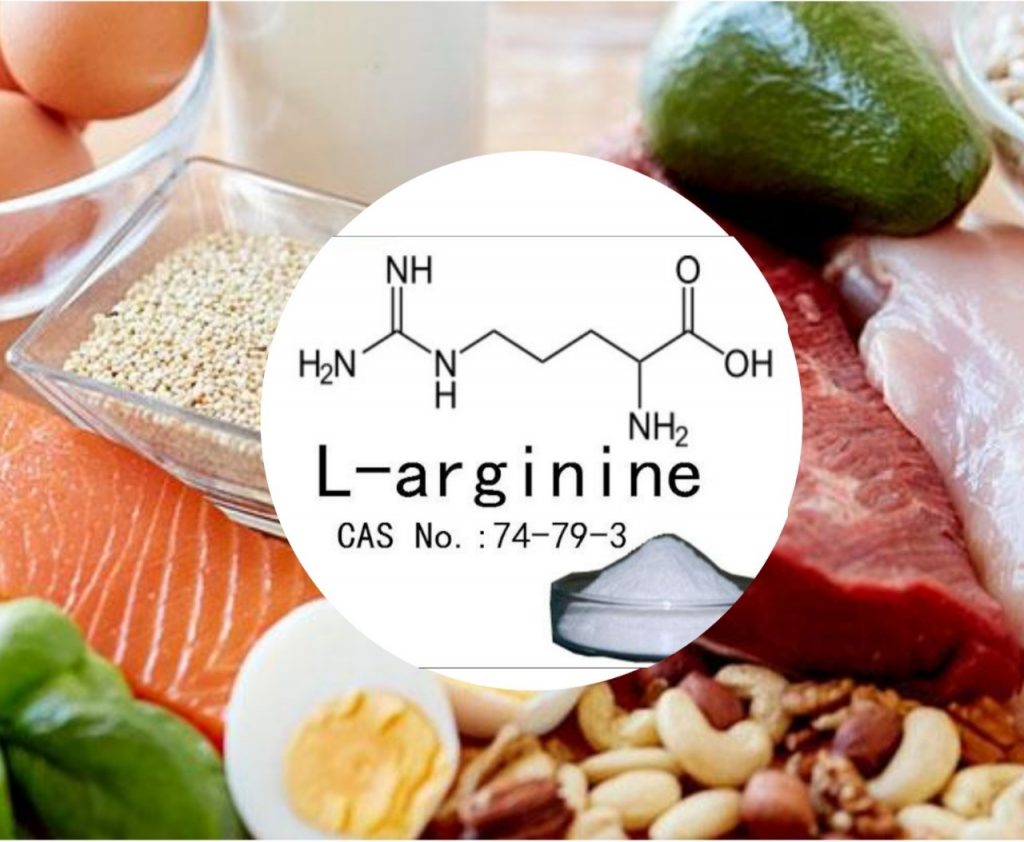 Hình 2. L-arginine