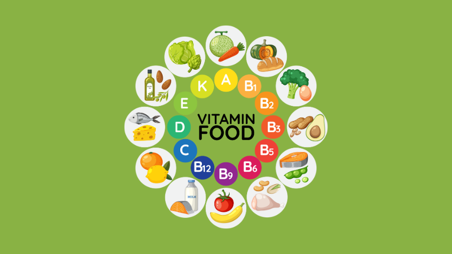 Các loại vitamin đóng vai trò nền tảng, hỗ trợ cho mọi hoạt động sống của cơ thể